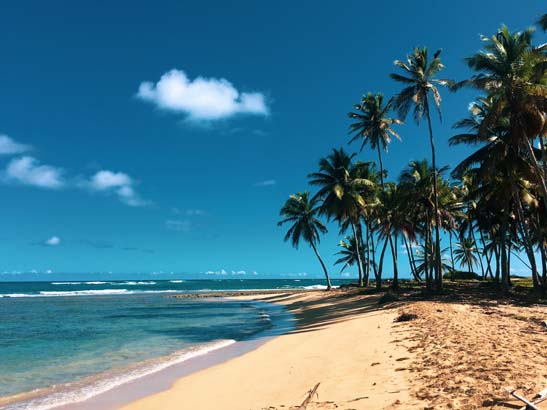 A view of Punta Cana, DO